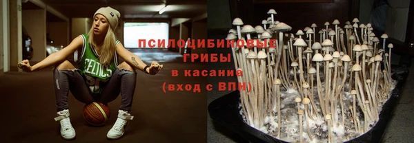 гашик Абаза