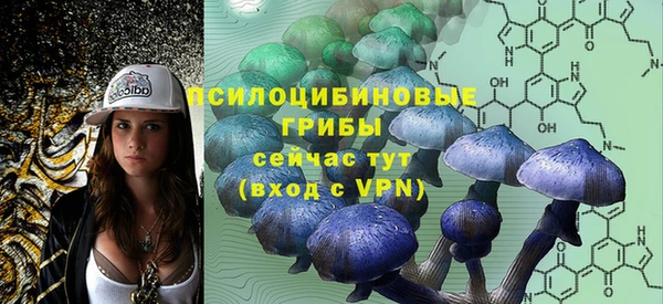 гашик Абаза