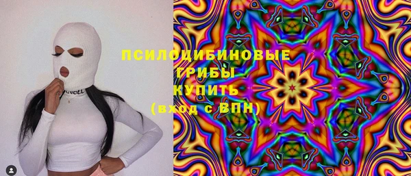 гашик Абаза