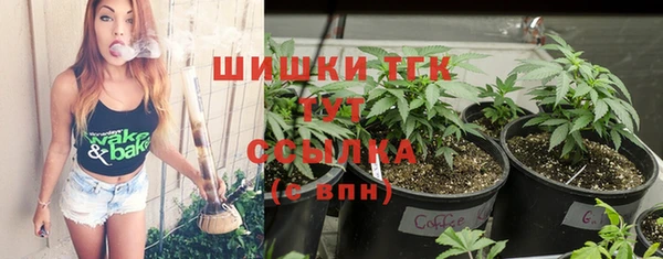 гашик Абаза
