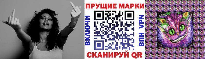 дарнет шоп  Бежецк  Наркотические марки 1,5мг 