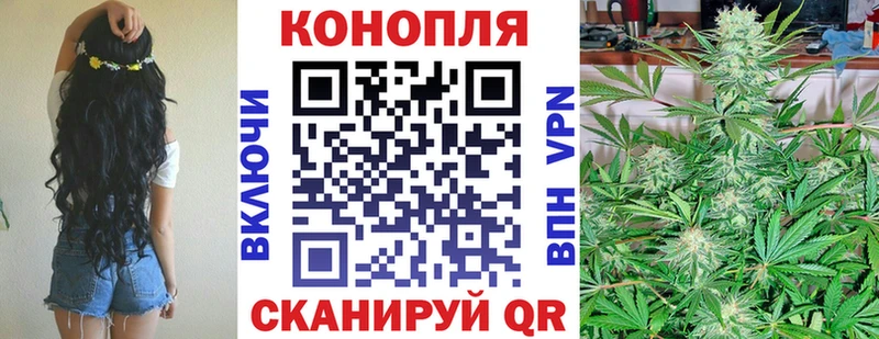 наркотики  Бежецк  Каннабис планчик 